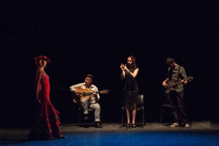 Школа фламенко Фламенкомания